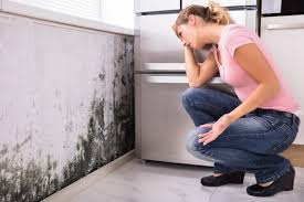  , USA Mold Removal & Remediation Pros